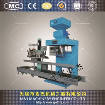 上海块状自动称重包装机
